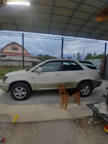 Toyota: Toyota Harrier: 1999 г., 3 л, Автомат, Бензин, Кроссовер — 8