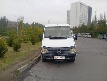 мусс: Mercedes-Benz Спринтер: 2006 г., Механика, Фургон — 5