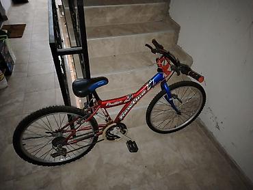 Dečiji bicikli: Dečiji/teen MTB bicikl NewLine Panther - Veličina točkova: 24 inča - — 5