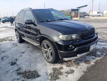 д 245 евро 2: BMW X5: 2006 г., 4.4 л, Типтроник, Бензин, Внедорожник