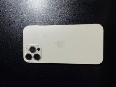 iphone 256 gb: IPhone 12 Pro Max, 256 ГБ, Matte Gold, Face ID