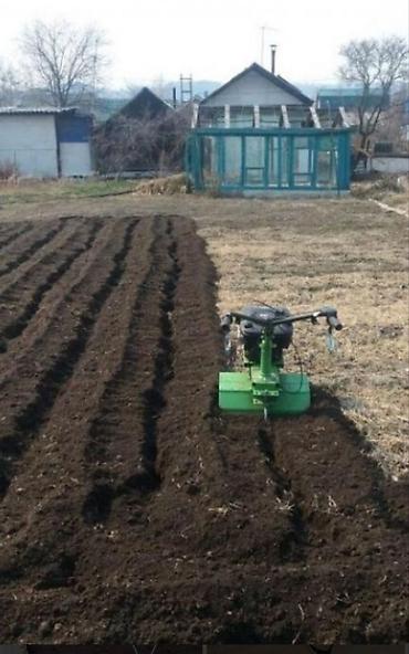 мини трактор фреза: Услуга: вспашка и фрезеровка огородов мотоблоком Описание: - — 2