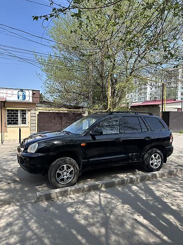 Hyundai: Hyundai Santa Fe: 2002 г., 2.4 л, Ручные, Бензин, Кроссовер — 1