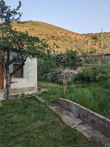 Продажа дач: Очень срочно!!! Продаю или меняю !!! на квартиру !!! Дача с подвалом — 7