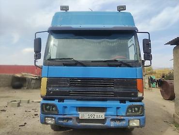 компресионные чулки: Грузовик, DAF, Дубль, Б/у — 1