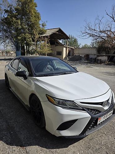 Toyota: Toyota Camry: 2019 г., Седан — 3