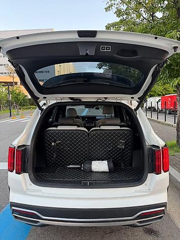 дачики: Kia Sorento: 2020 г., 1.6 л, Автомат, Гибрид, Кроссовер — 8
