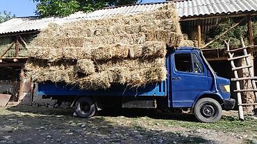 борт на: Грузовой бортовой автомобиль Mercedes-Benz (кабина синяя, односкатная — 2