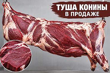 слив воронежской пантеры: Продаю | Конь (самец) | На забой — 1