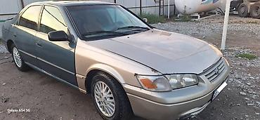 Toyota: Toyota Camry: 1999 г., 2.2 л, Автомат, Бензин, Седан — 7