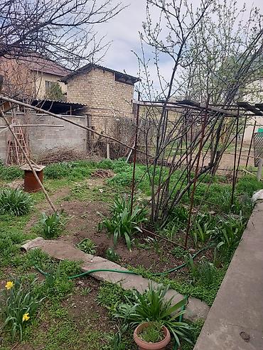 Долгосрочная аренда домов: 90 м², 2 комнаты — 14