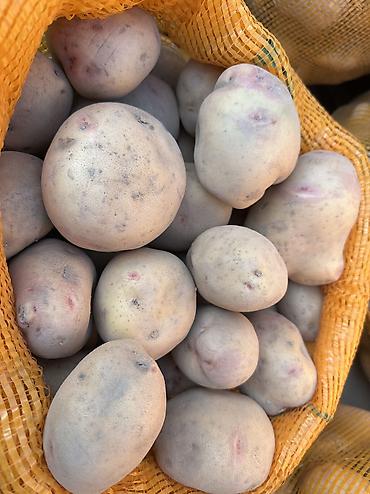 мандарины купить: Картошка Пикассо, Оптом, В розницу — 1