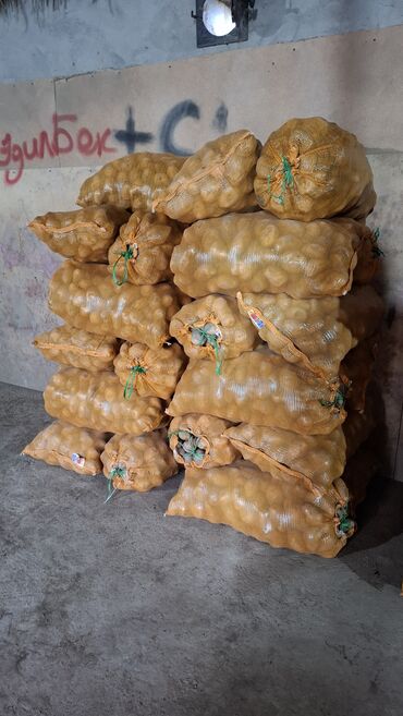 садовые гномы: Картошка Пикассо, Дүңүнөн