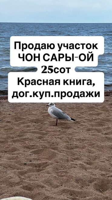 дом в районе пишпек: 25 соток, Для строительства, Красная книга