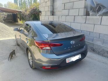 набор ключей для автомобиля б у: Hyundai Avante: 2020 г., 1.6 л, Типтроник, Газ, Седан
