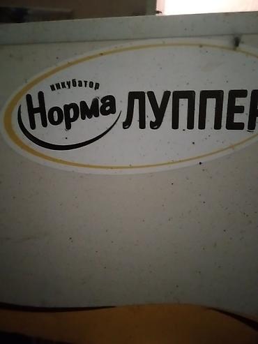 Инкубаторы: Инкубатор «Норма Луппер» - Тип: электрический инкубатор для птицы - — 1