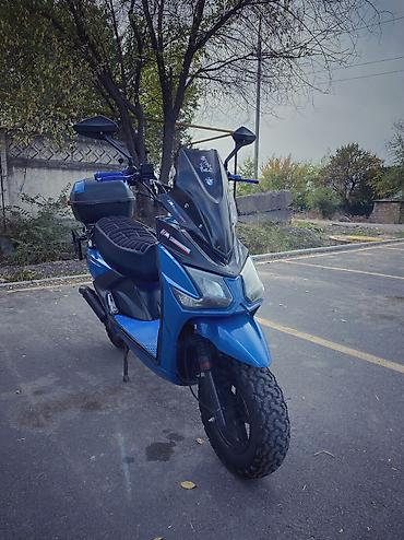 Продаю синий самурайчик💙 2025года😍🤍 165ти кубовыйй🔥🤍 пробег 4200км😍 at lalafo.kg Продаю синий самурайчик💙 2025года😍🤍 165ти кубовыйй🔥🤍 пробег 4200км😍