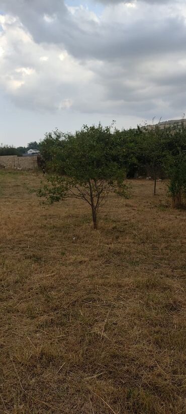 ismayıllı torpaq satılır: 12 sot, Tikinti, Kupça (Çıxarış)