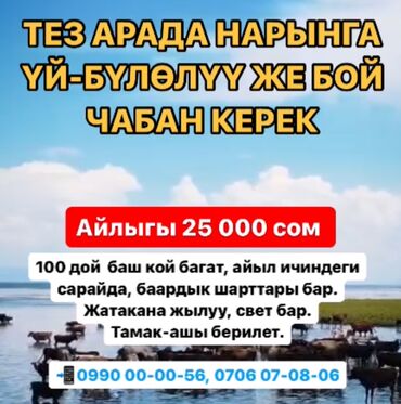 кирпич м 100: Требуется Пастух, Оплата Ежемесячно