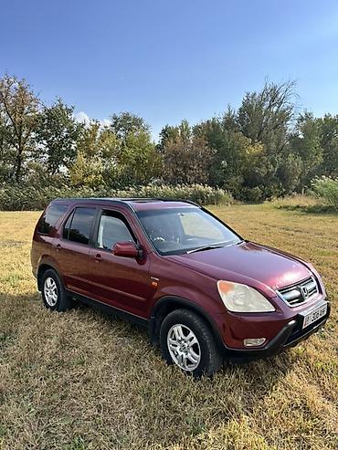 audi а8: Honda CR-V: 2002 г., 2 л, Автомат, Бензин, Кроссовер — 1