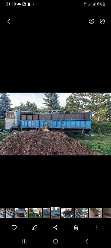 мото ролик: Легкий грузовик, МАЗ, Стандарт, Б/у — 4