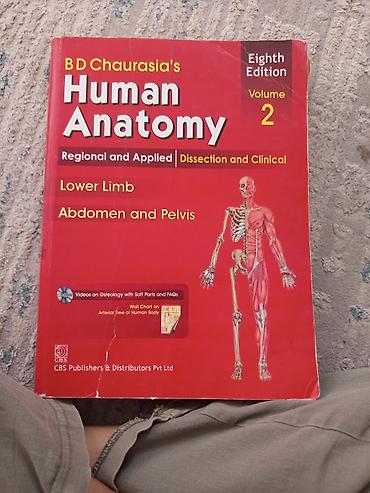 школьники ххх: Комплект учебников: B. D. Chaurasia’s Human Anatomy, 8-е издание, 2 — 3