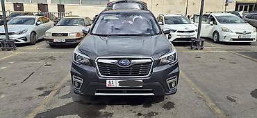 forest: Subaru Forester: 2020 г., 2.5 л, Вариатор, Бензин, Кроссовер — 1