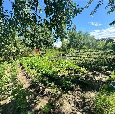 продаю участок село петровка: 5 соток, Для бизнеса, Красная книга, Договор купли-продажи