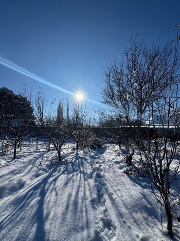 дом сокулук: 8 соток, Курулуш, Кызыл китеп