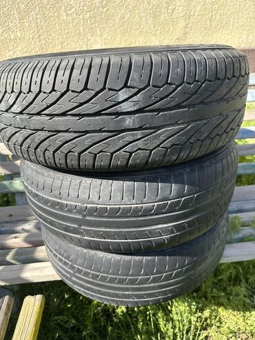 шины летние 205 65 15: Шины 205 / 65 / R 15, Лето, Б/у, Легковые, Dunlop