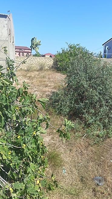 xacmazda torpaq satışı: Novxanida mohtesem torpag satisa cixddi heyet qum komunlar var — 6
