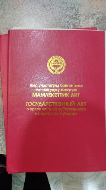 чолпон ата участки: Красная книга