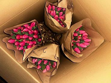 Букеты из живых цветов: В наличии Тюльпаны🌷💐 имеются в ярких и разных цветах . также есть — 5