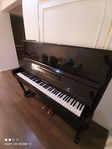 Pianolar: Piano, Belarus, Akustik — 4