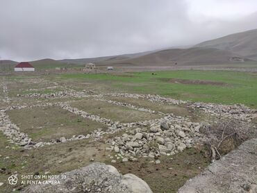 Kommersiya daşınmaz əmlakının satışı: Xızı rayonu,fındığan kəndiferma satıram -2 hektar25 tonluq su — 9