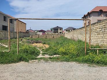 mahrasa bagi gence: 6 sot, Kənd təsərrüfatı, Mülkiyyətçi, Bələdiyyə — 6