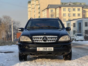 Mercedes-Benz: Mercedes-Benz M-Class: 2002 г., 4.3 л, Автомат, Бензин, Внедорожник