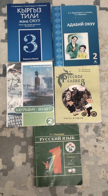 книги за 6 класс: Книги 1-2-3-5 класса