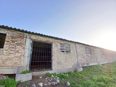 Сельхоз предприятия: Продаю Кошара, 50 соток, Действующий, Без оборудования, Электричество — 17