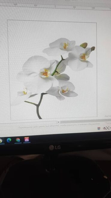 Натяжной потолок: Натяжной потолок Глянцевое, Матовое, 3D потолки Бесплатная консультация, Демонтаж, Бесплатный замер — 15