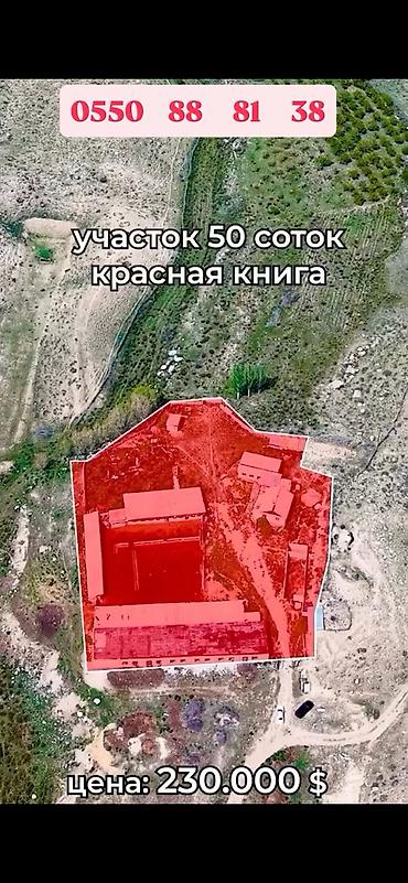 Продажа участков: 500 соток, Для сельского хозяйства, Красная книга at lalafo.kg — 3 Продажа участков: 500 соток, Для сельского хозяйства, Красная книга — 3