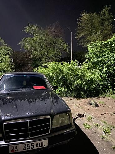 капот на 124 ешка: Mercedes-Benz W124: 1993 г., 2 л, Механика, Газ, Седан — 5