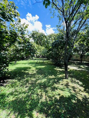 Bağ evlərinin kirayəsi: 350 kv. m, 10 otaq, Hovuzlu, Kanalizasiya, Kombi, Qaz -da lalafo.az — 9 Bağ evlərinin kirayəsi: 350 kv. m, 10 otaq, Hovuzlu, Kanalizasiya, Kombi, Qaz — 9