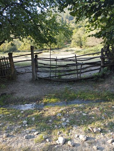 Çöl bitkiləri: Yaşıl otla örtülmüş, yamacın ətəyində yerləşən geniş açıq sahə. Ərazi — 4
