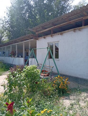 кок жар хата: Дом, 20 м², 2 комнаты, Агентство недвижимости