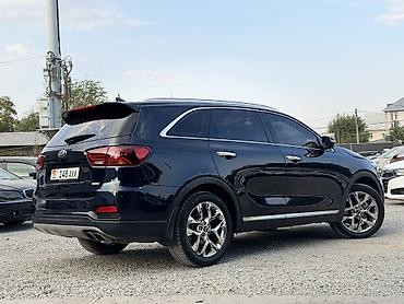 li auto: Kia Sorento: 2019 г. — 3