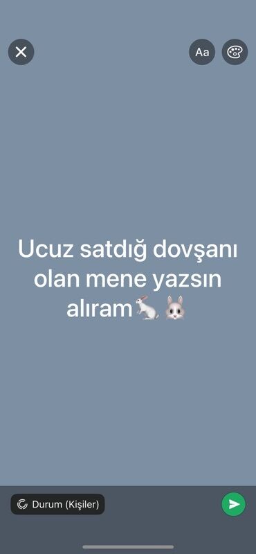 котята даром в душанбе: Axtarılır: Ucuz qiymətə dovşan Mətn: “Ucuz satdığı dovşanı olan mənə