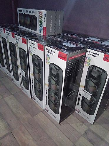 fm network: SING-E Multi-Media Speaker – 8"x2 HiFi, rəngli bas dinamikləri ilə — 2