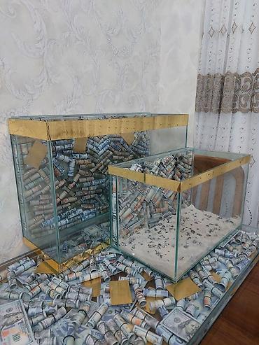 ceyran buynuzu: 70×45×25 bõyük olan.Balaca olan 50×30×25. isdədiyiviz õlçû sifariş — 10