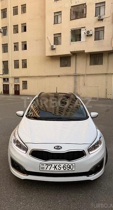 Kia: Kia Ceed: 1.6 l | 2016 il Hetçbek — 10